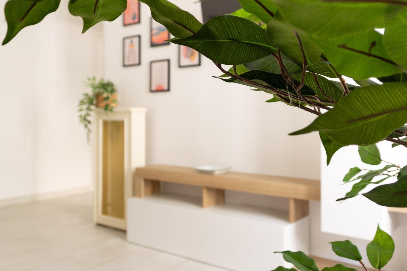 Nextovatican Apartment Rzym Zewnętrze zdjęcie